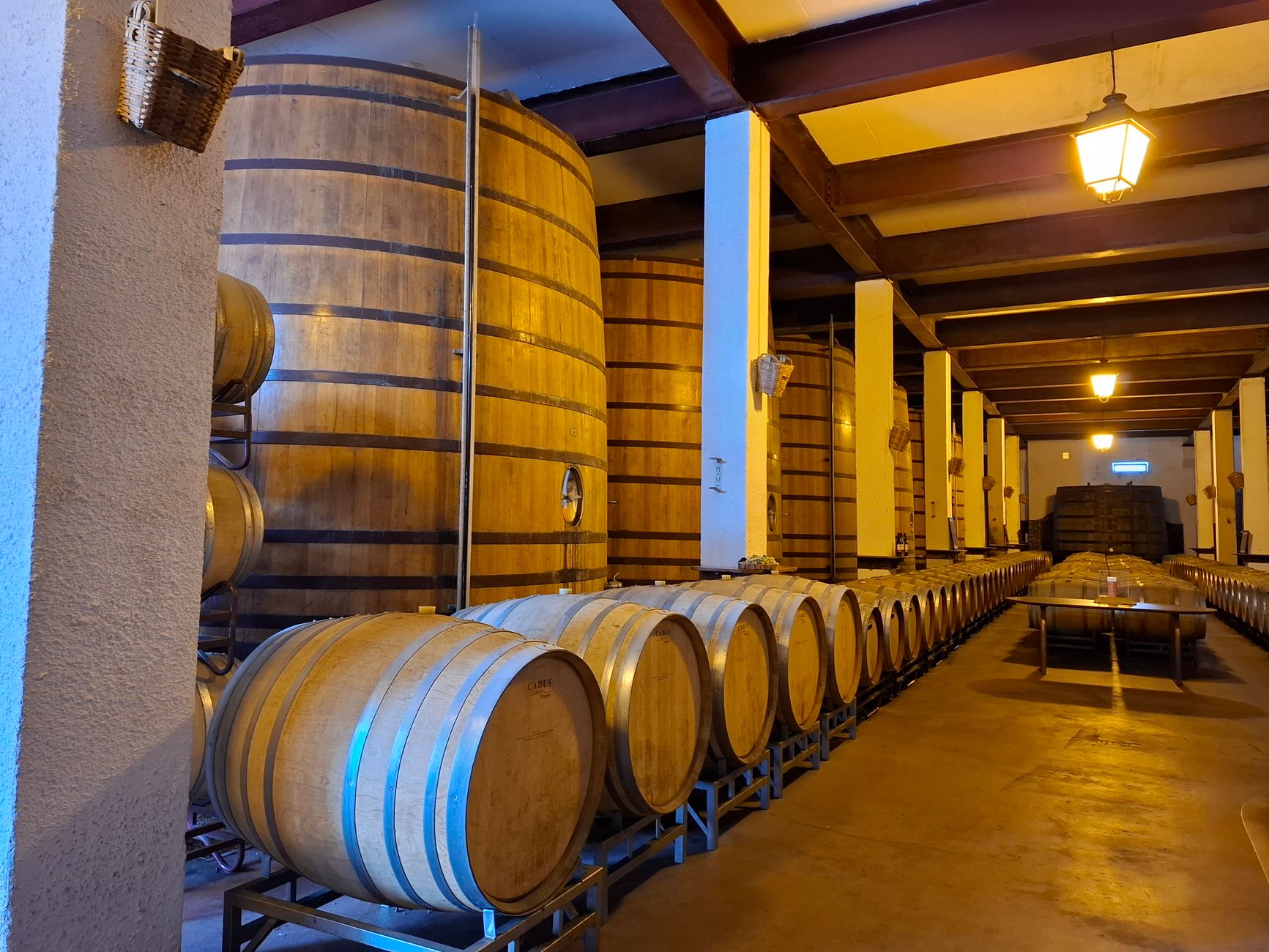 Barricas de roble y viñedos en el Valle de Uco